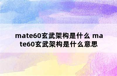 mate60玄武架构是什么 mate60玄武架构是什么意思